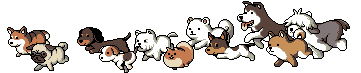 Cachorrinhos correndo